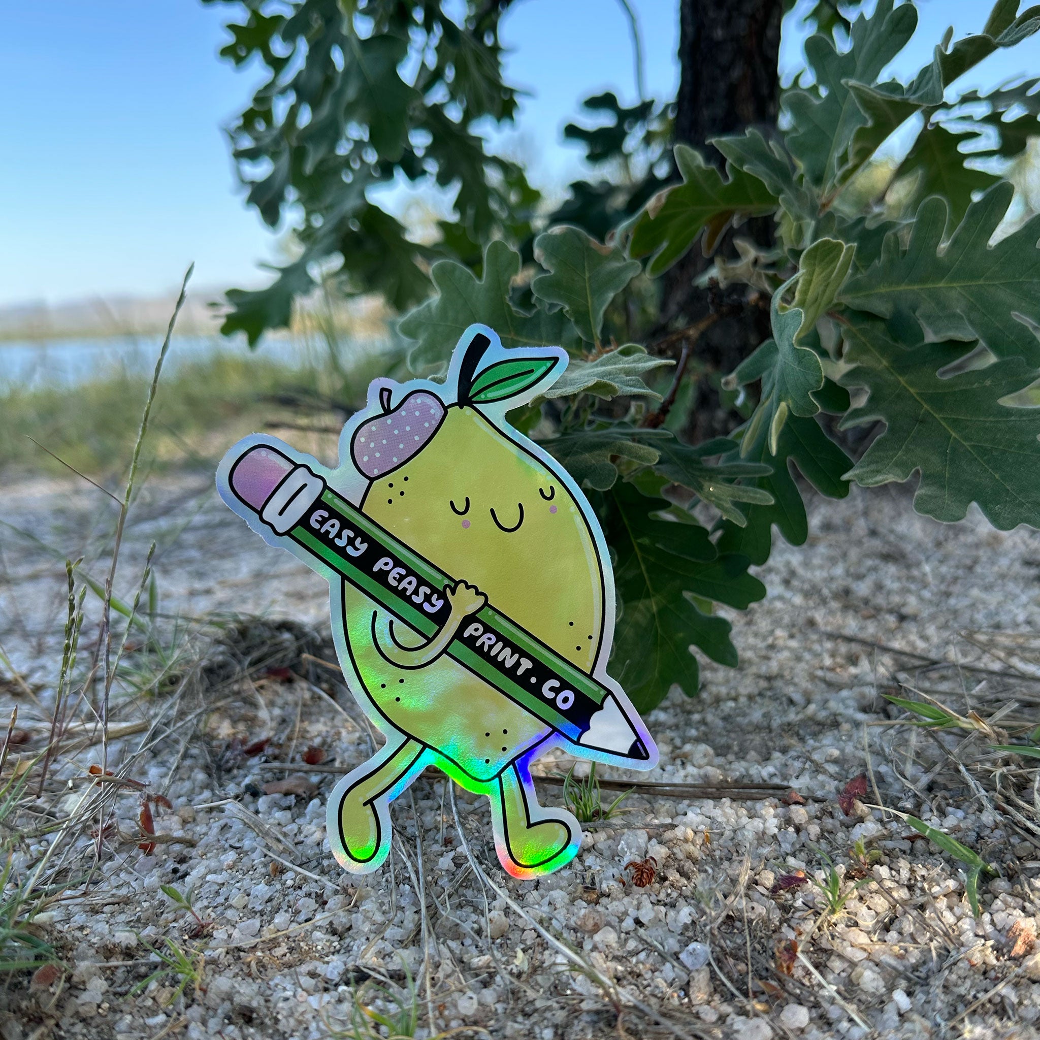 Holographic Vinyl Stickers