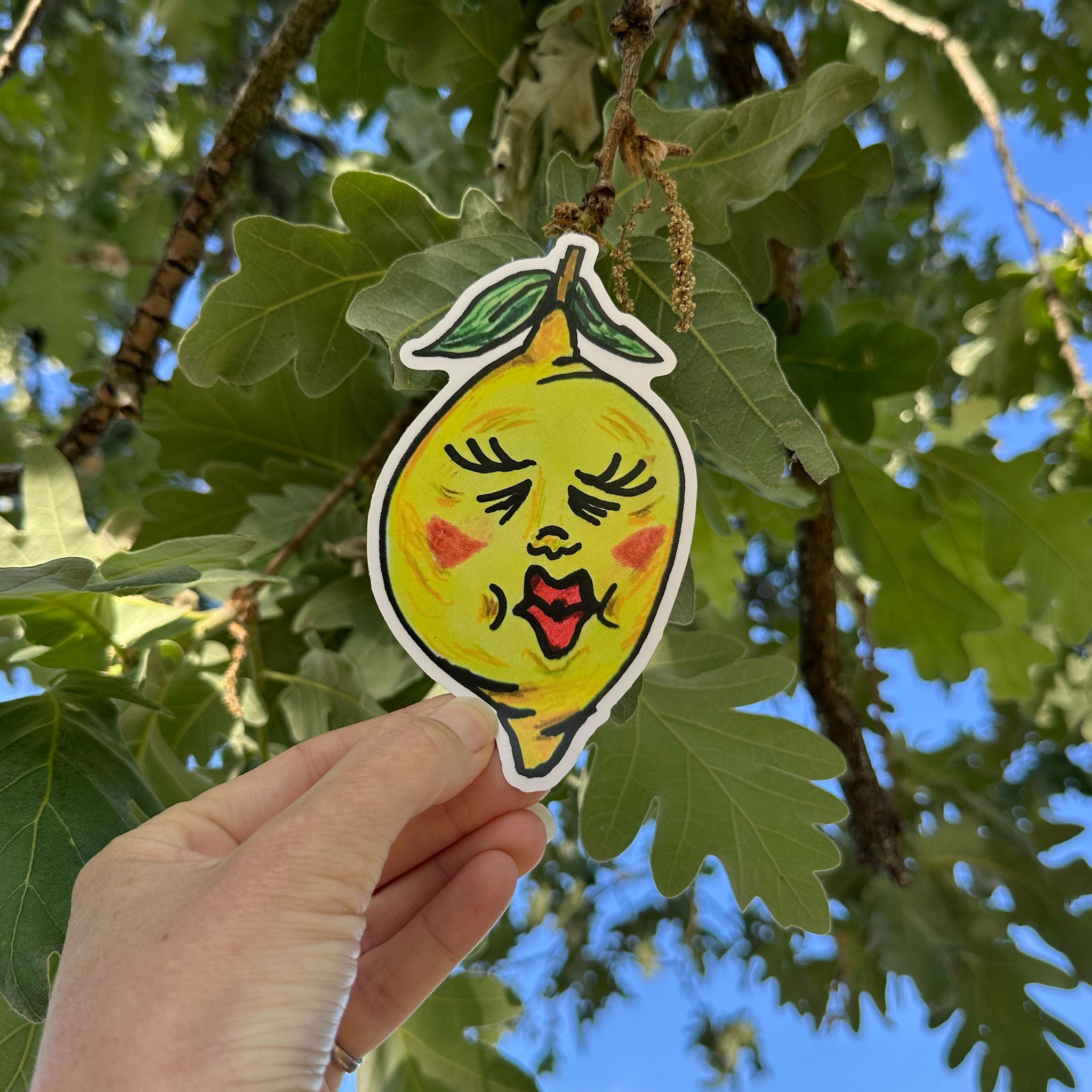 Matte Vinyl Stickers